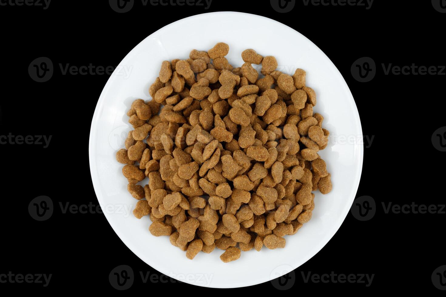 Cat food on a white plate. Animal feed. photo