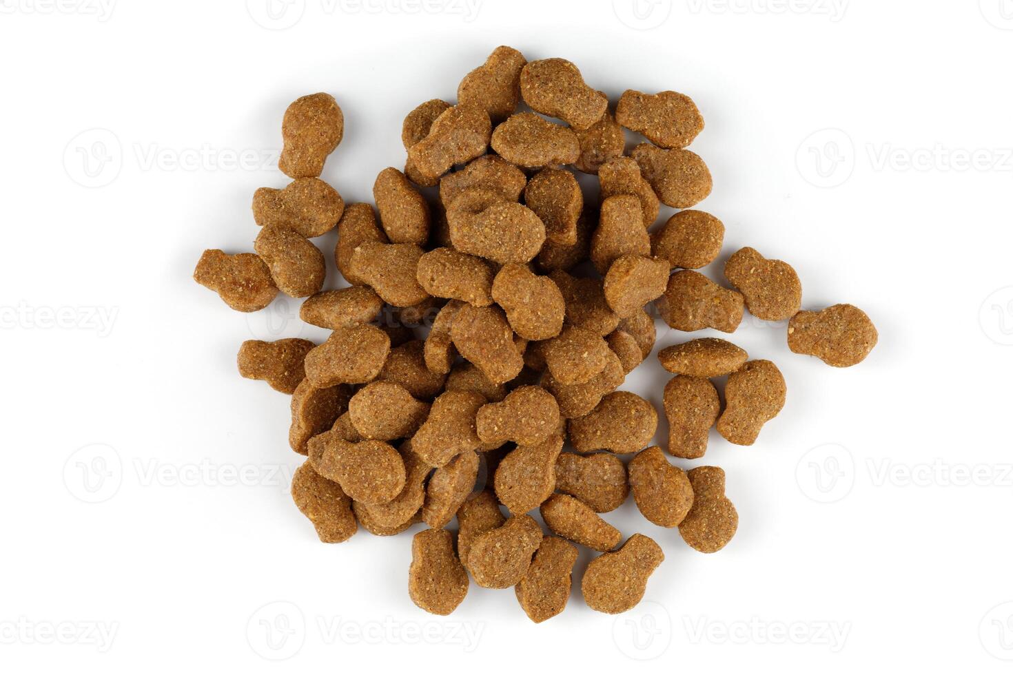 Dry food for cats. Animal feed. photo