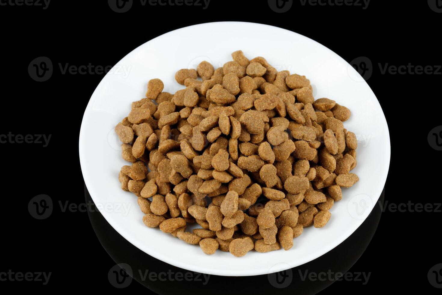 Cat food on a white plate. Animal feed. photo