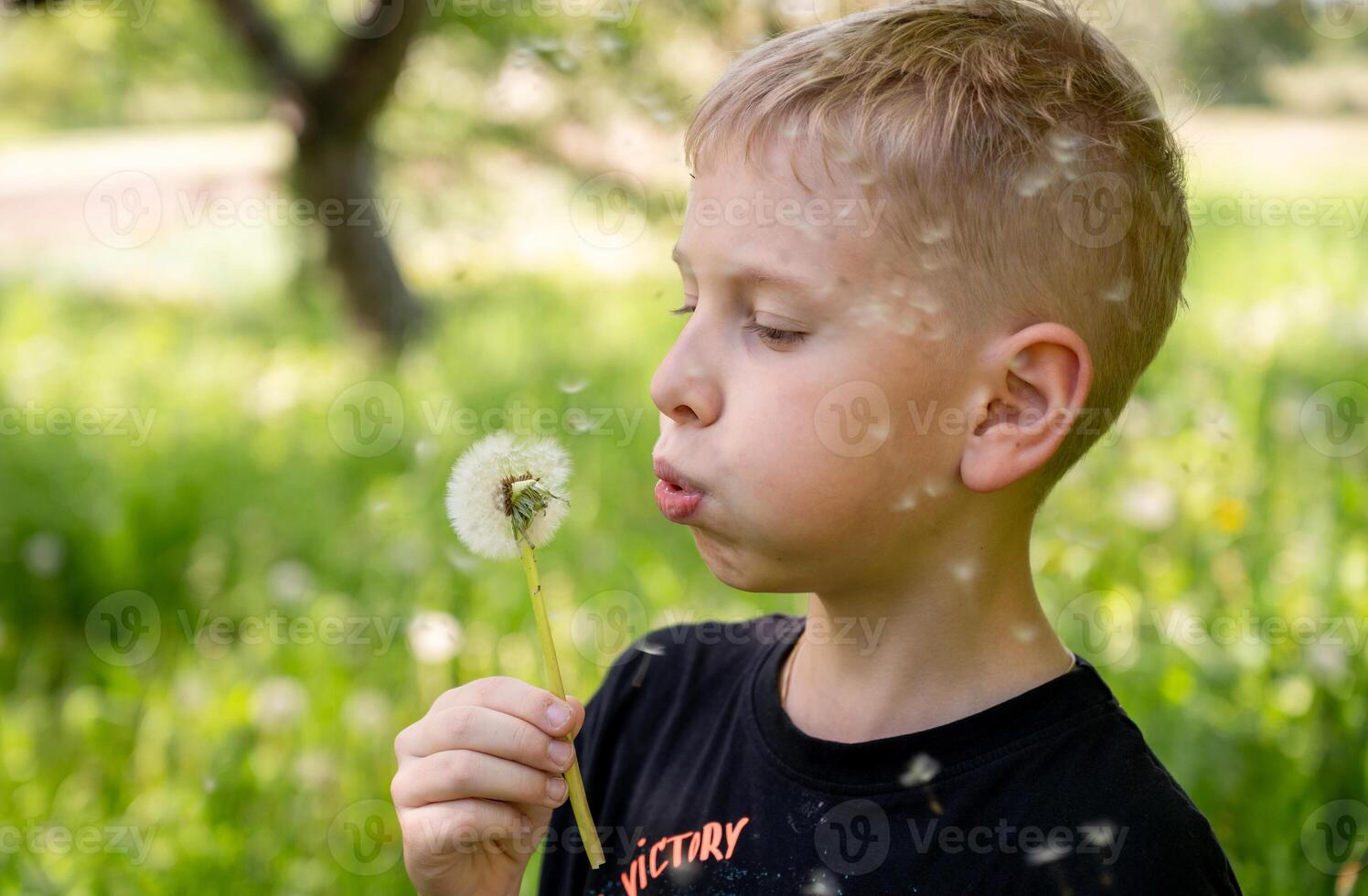 Little boy blowing dandelion seeds on green meadow background. photo