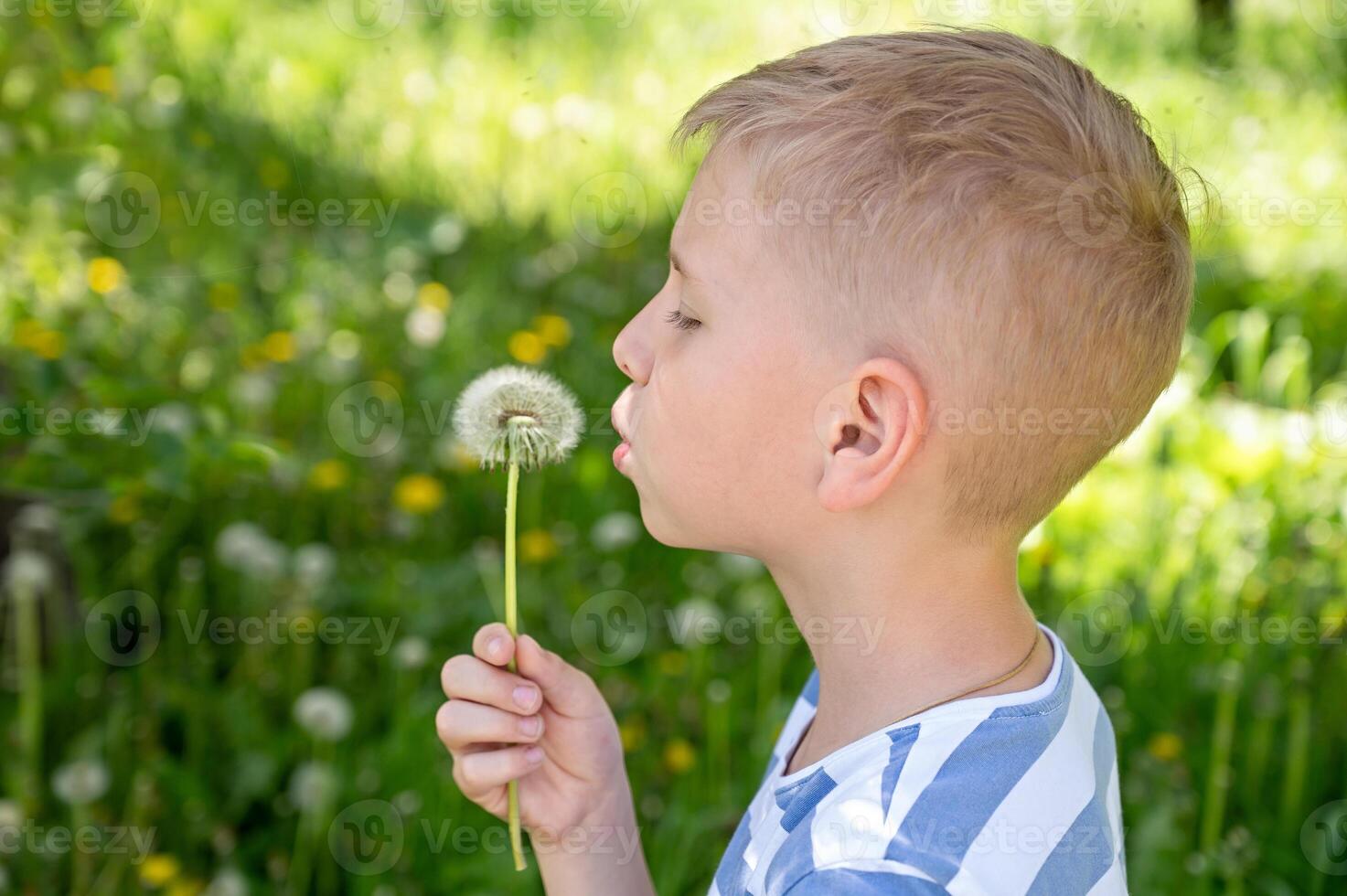 Little blond boy blowing dandelion in the park on summer day photo