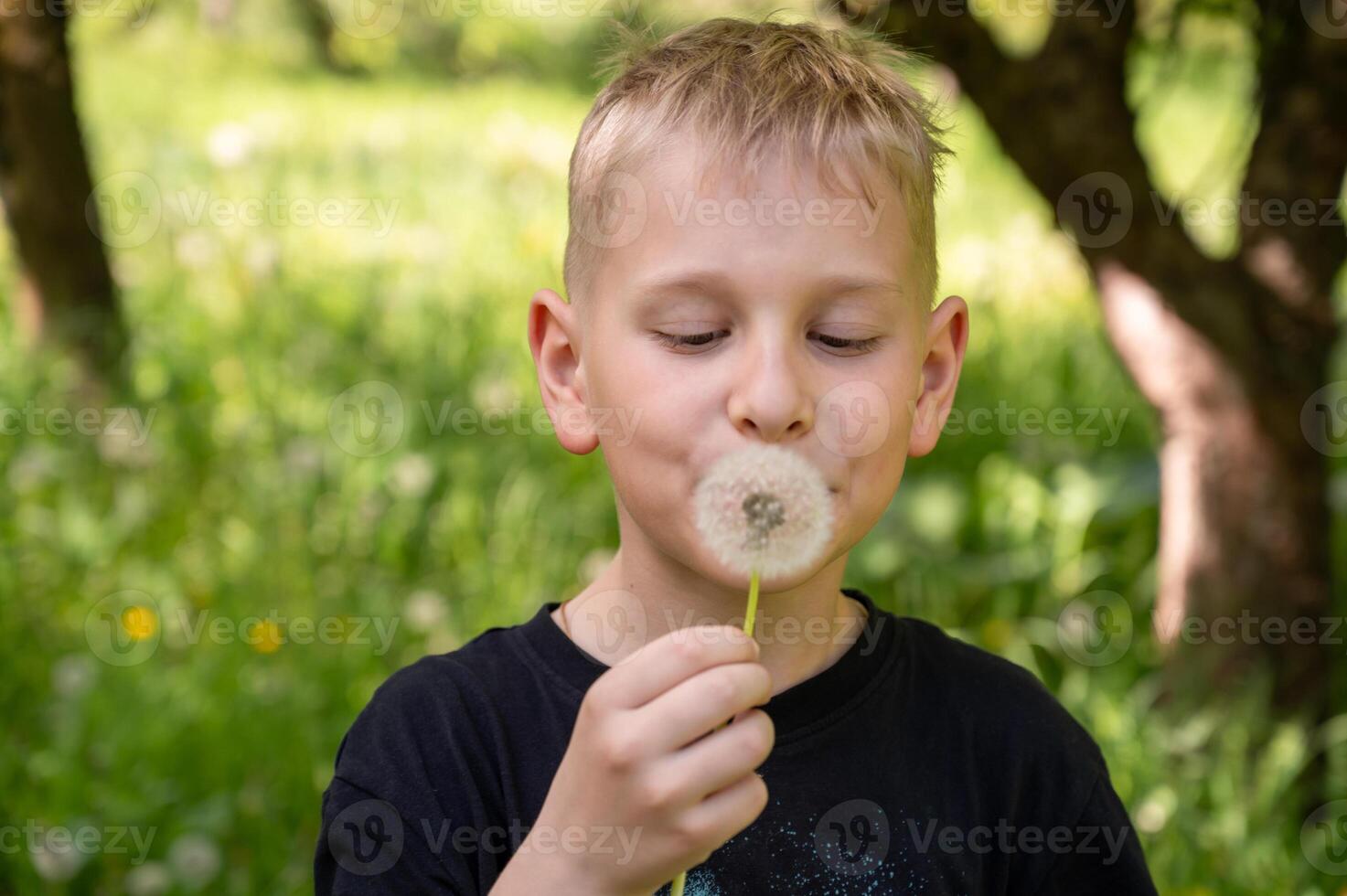A handsome blond boy blows a dandelion in the park. Selective focus. photo