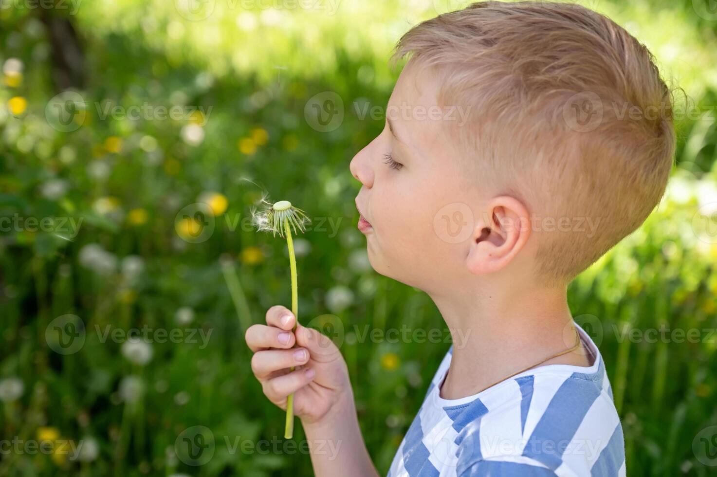 Little blond boy blowing dandelion in the park on summer day photo