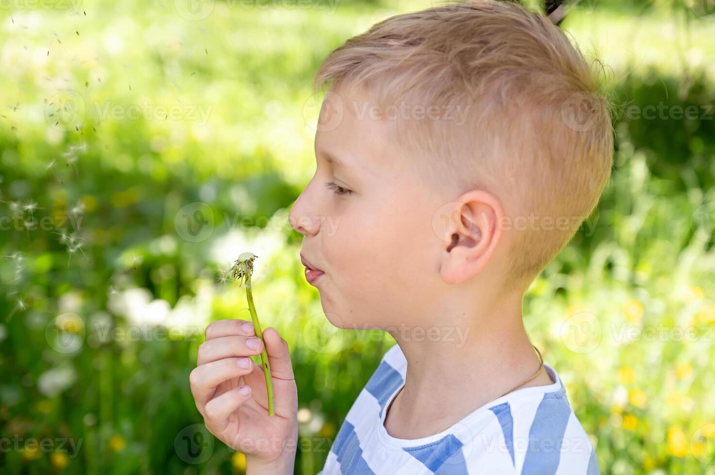 Cute little blond boy blowing a dandelion in the summer garden. photo