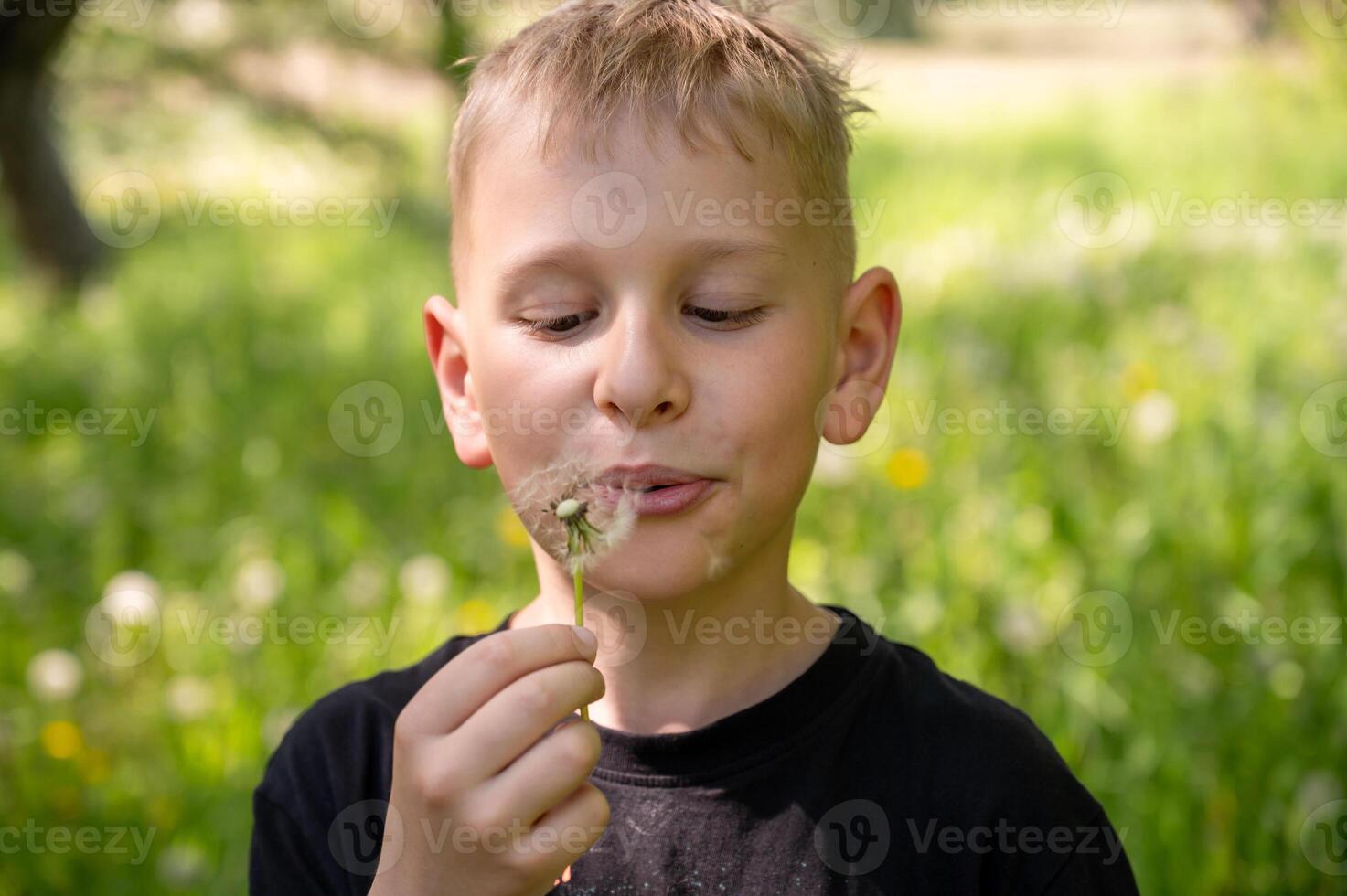 A handsome blond boy blows a dandelion in the park. Selective focus. photo