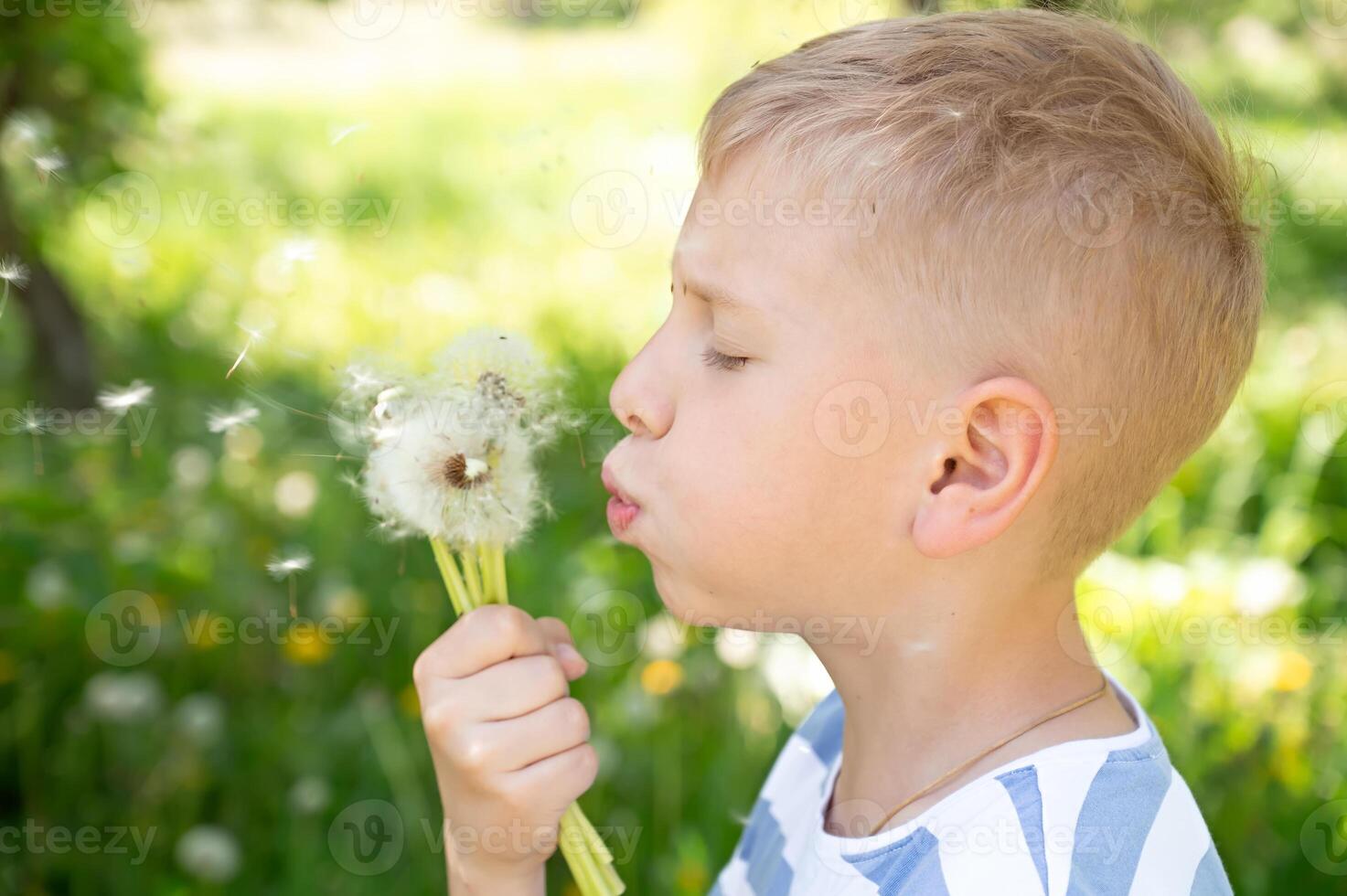 Cute little boy blowing dandelion seeds outdoors on summer day photo