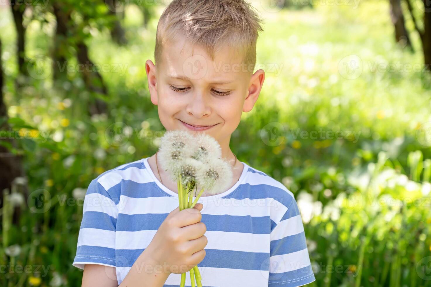 little boy looks at a bouquet of dandelions on a green meadow photo