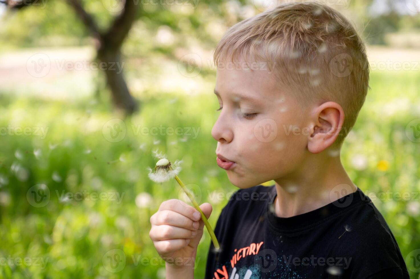 Little boy blowing dandelion seeds on green meadow background. photo