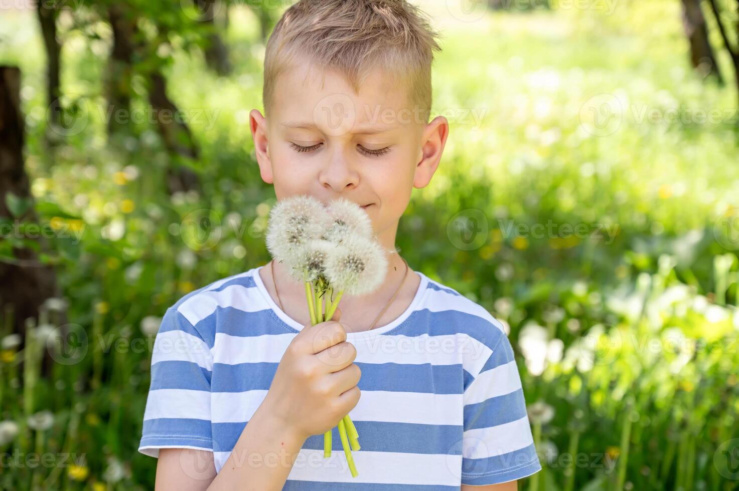 little boy looks at a bouquet of dandelions on a green meadow photo