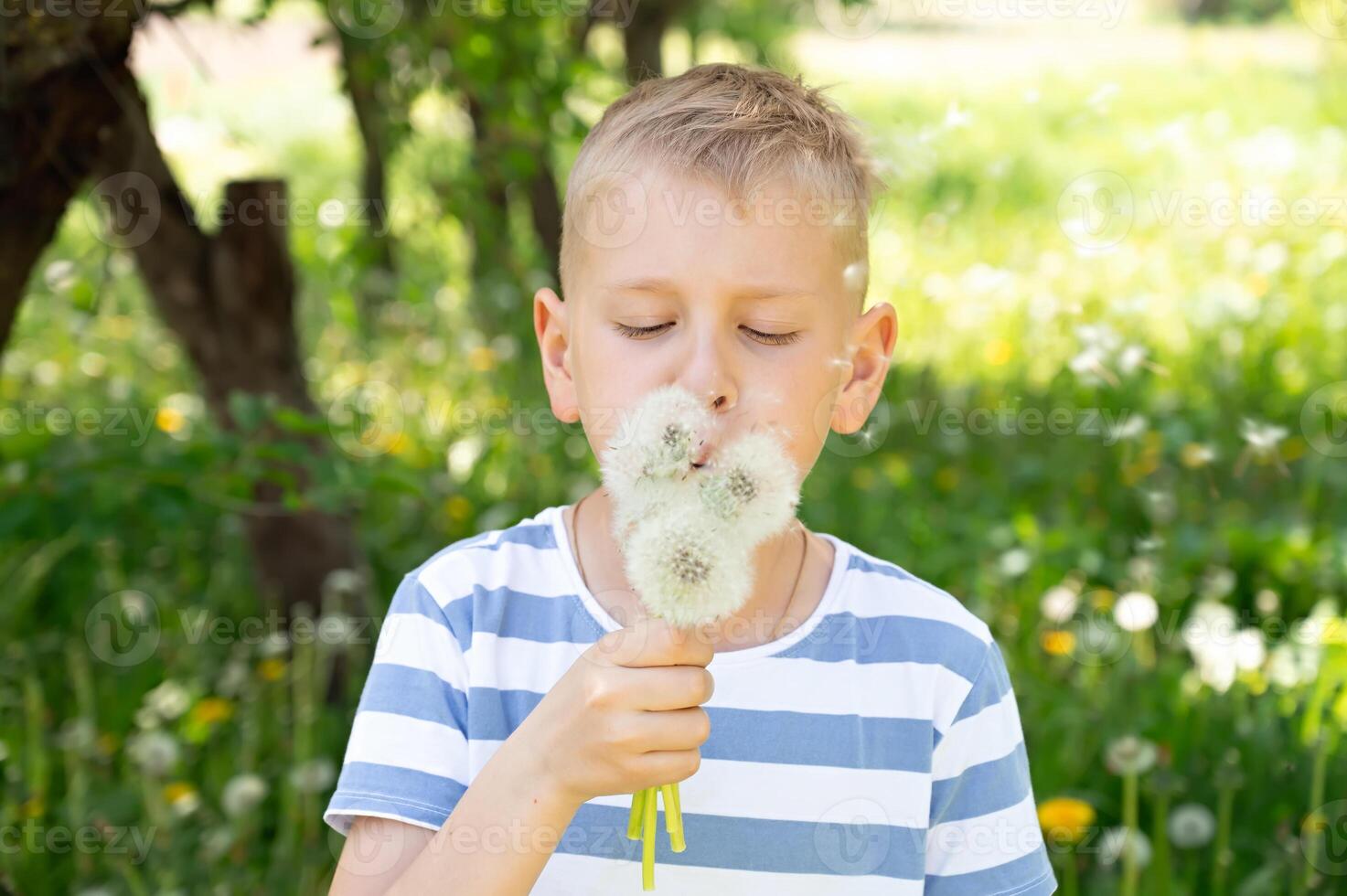 Cute little boy blowing dandelion seeds outdoors on summer day photo