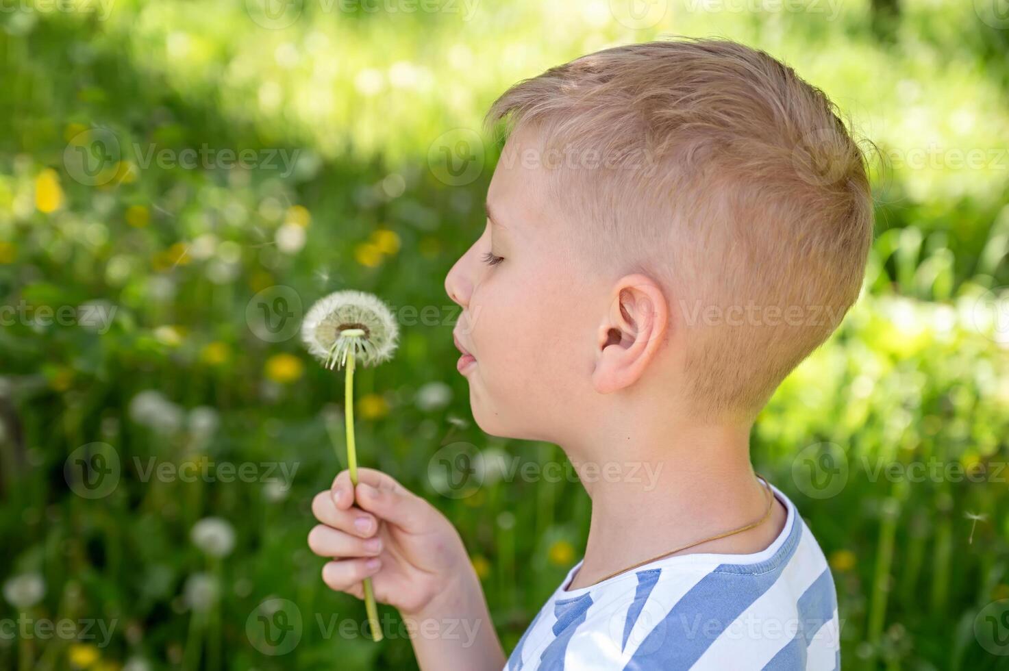 Little blond boy blowing dandelion in the park on summer day photo