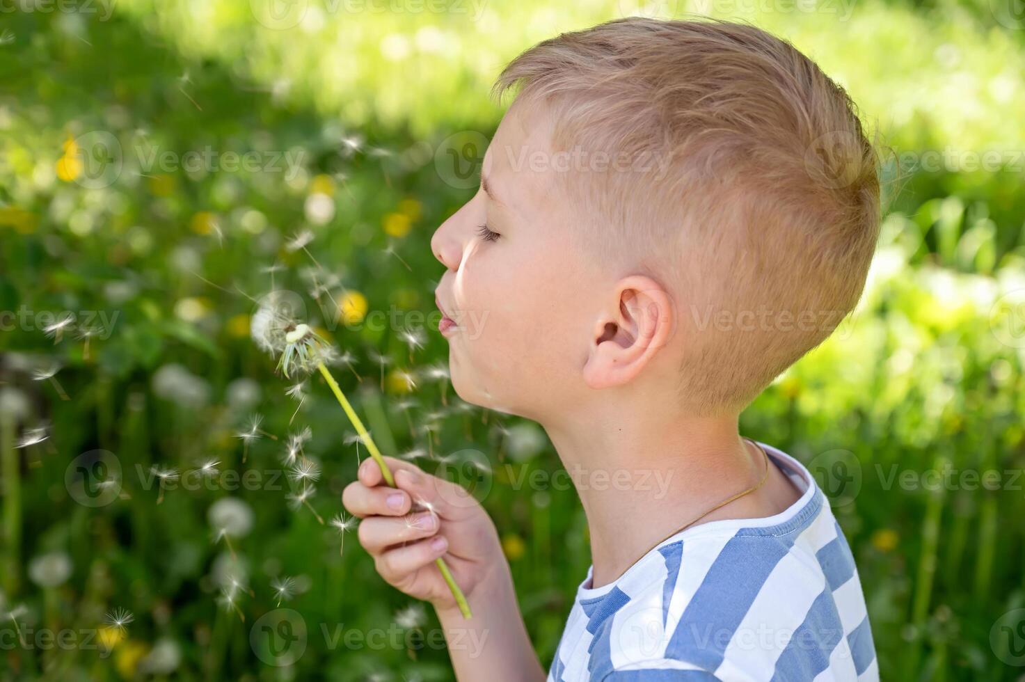 Little blond boy blowing dandelion in the park on summer day photo