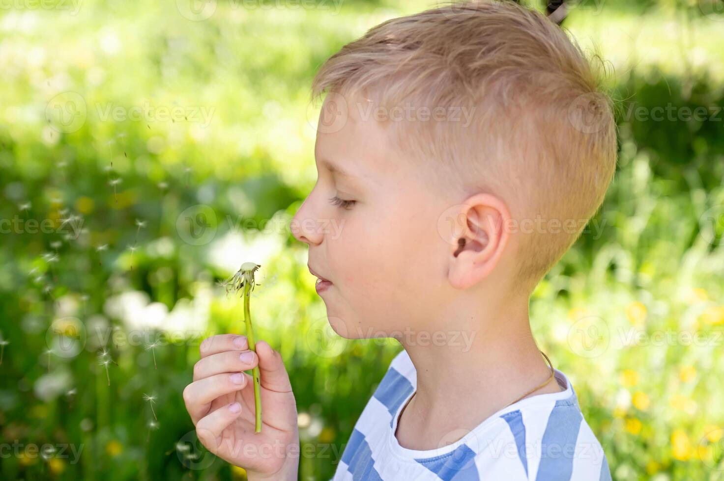 Cute little blond boy blowing a dandelion in the summer garden. photo