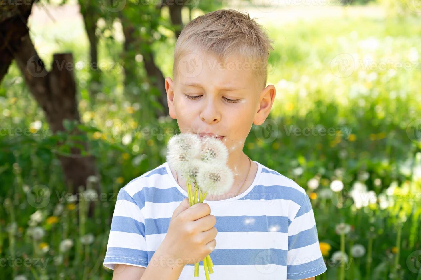 Cute little boy blowing dandelion seeds outdoors on summer day photo
