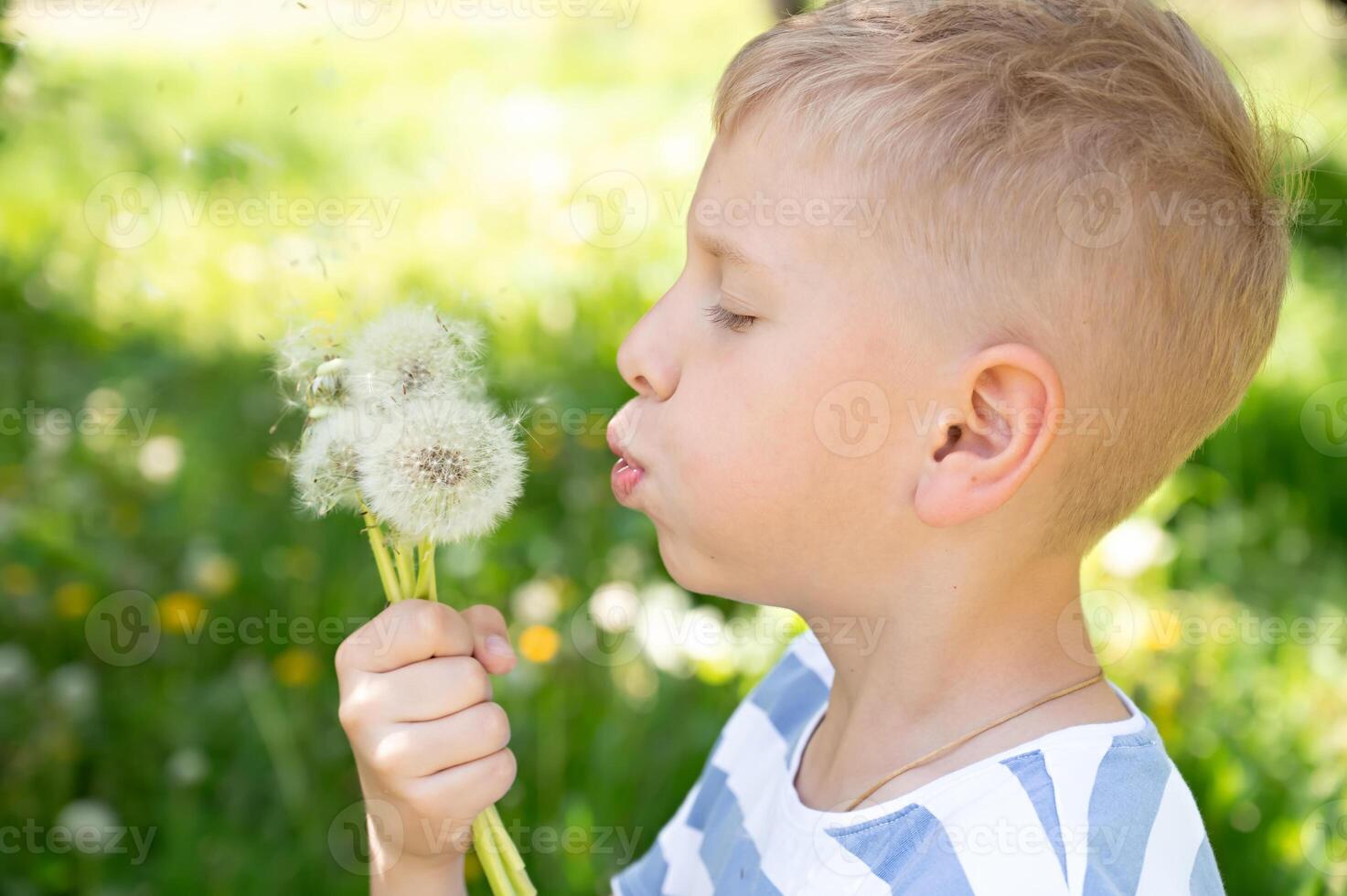 Cute little boy blowing dandelion seeds outdoors on summer day photo