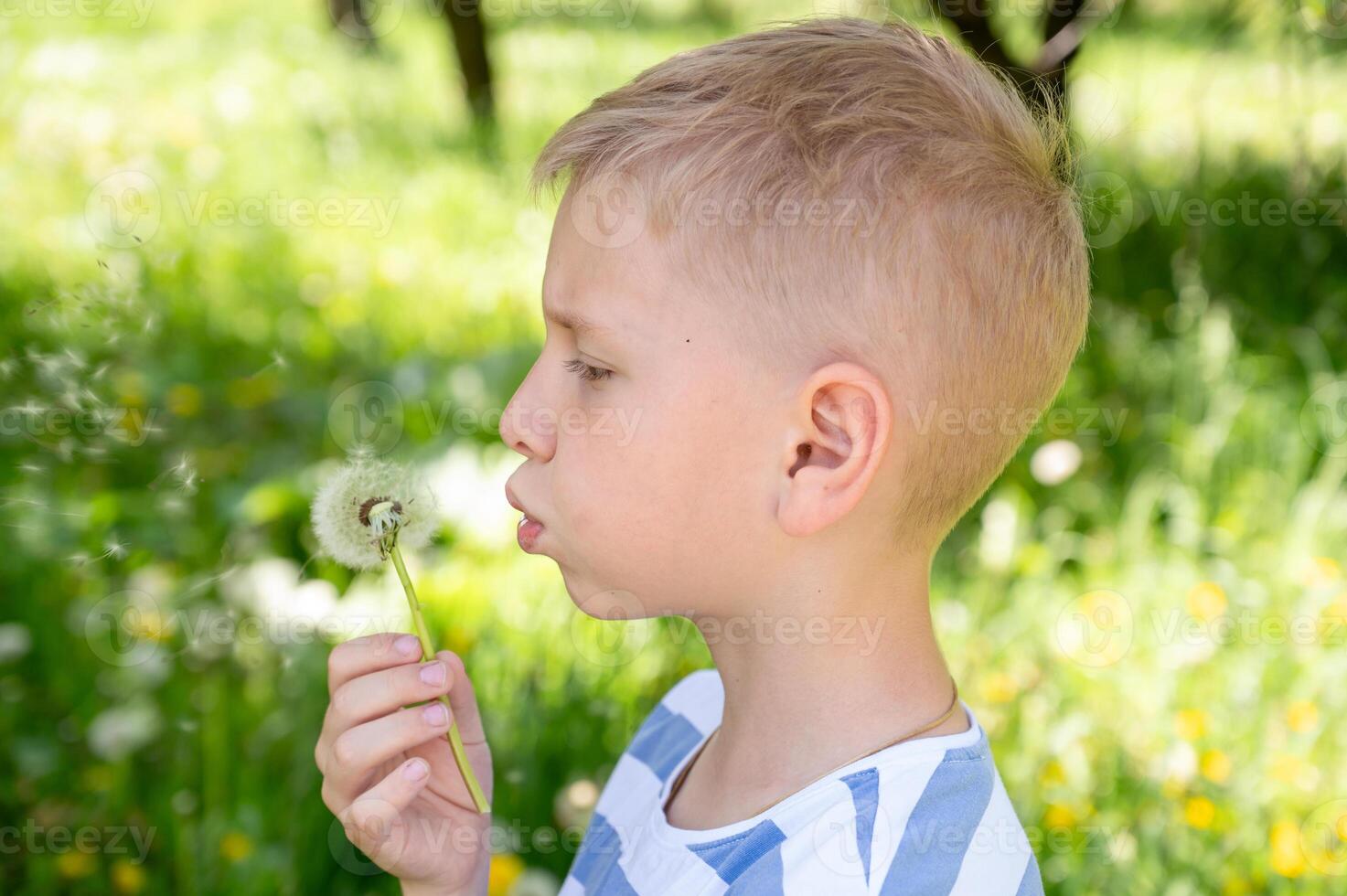 Cute little blond boy blowing a dandelion in the summer garden. photo