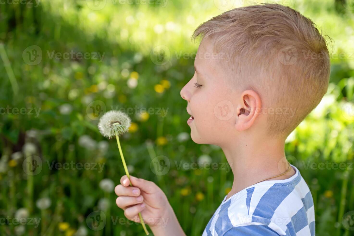 Little blond boy blowing dandelion in the park on summer day photo