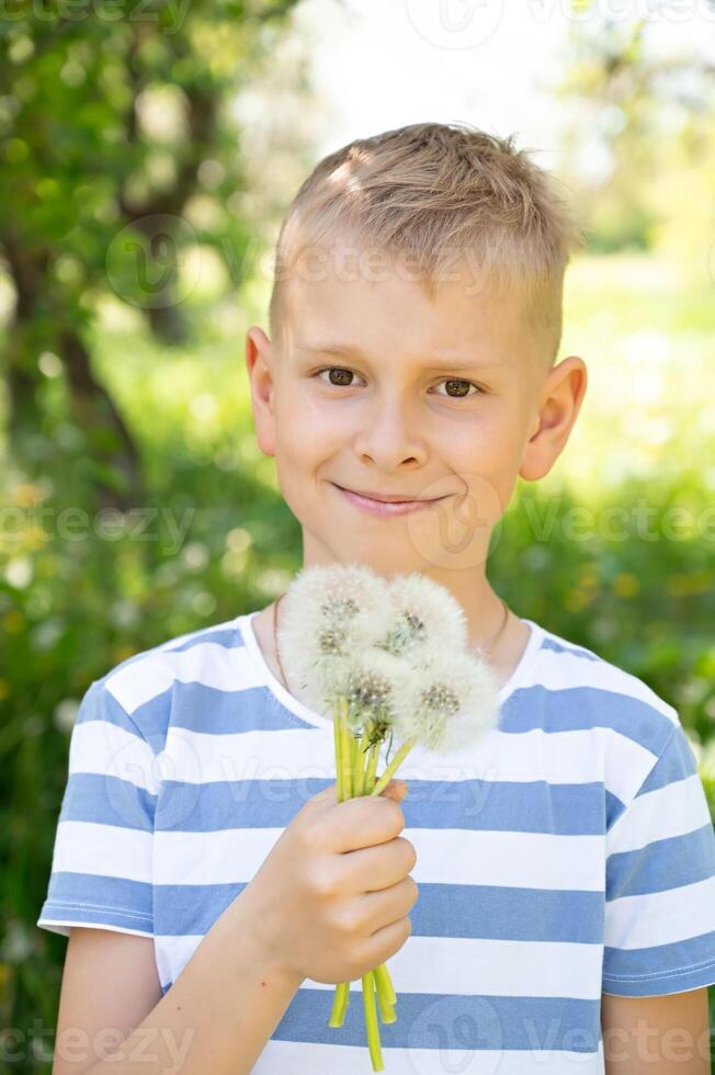 Portrait of a smiling blond boy with dandelions in the park photo