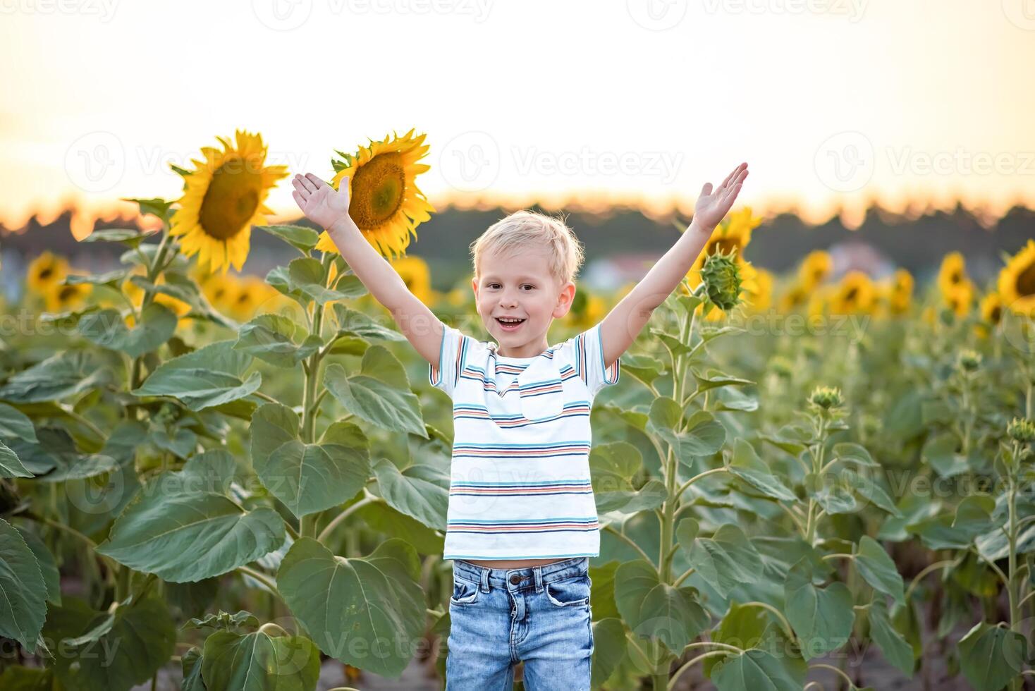 adorable pequeño chico teniendo divertido en hermosa girasol campo a puesta de sol foto