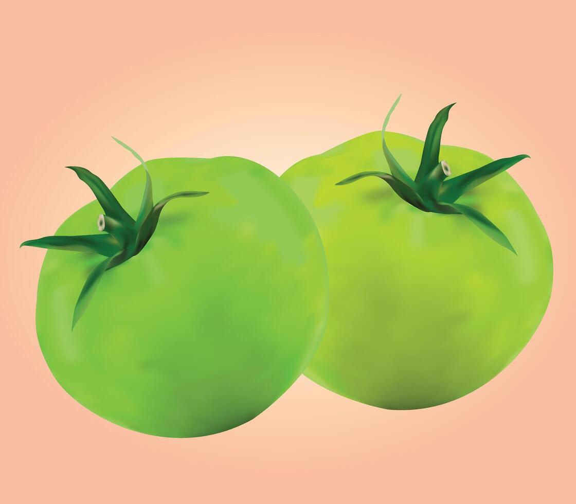 Realistic Fresh Green Tomato Design Illustration with Green Stems vector