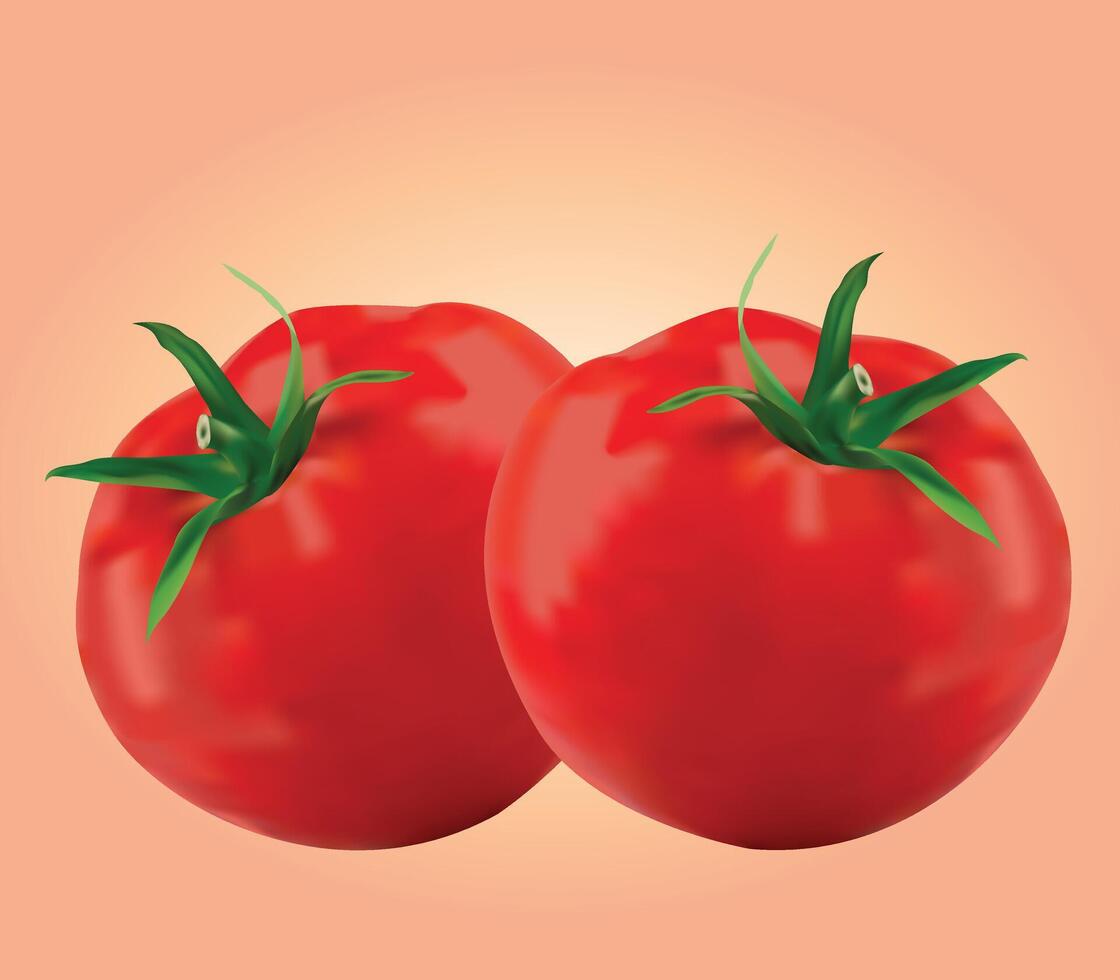 Realistic Fresh Red Tomato Design Illustration with Green Stems vector