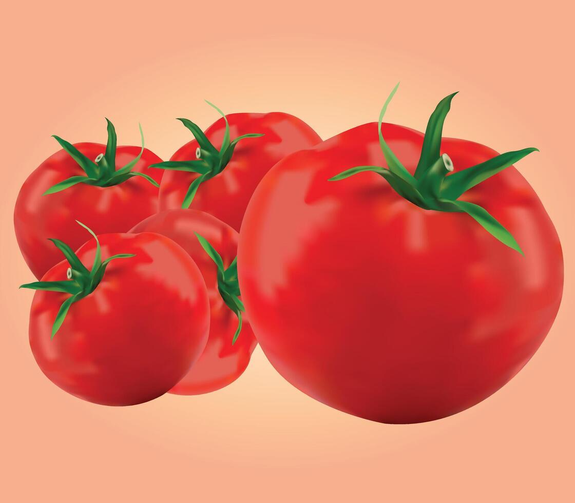 Realistic Fresh Red Tomato Design Illustration with Green Stems vector