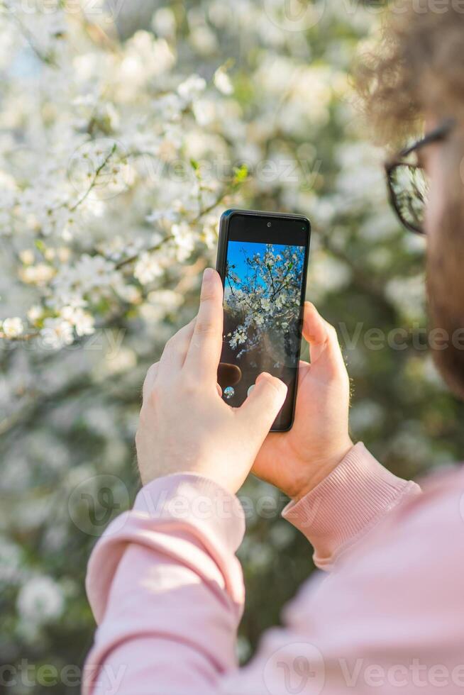 Man holding mobile phone and take photo blooming spring cherry and apples trees in sunlight. Smartphone photo for social media.