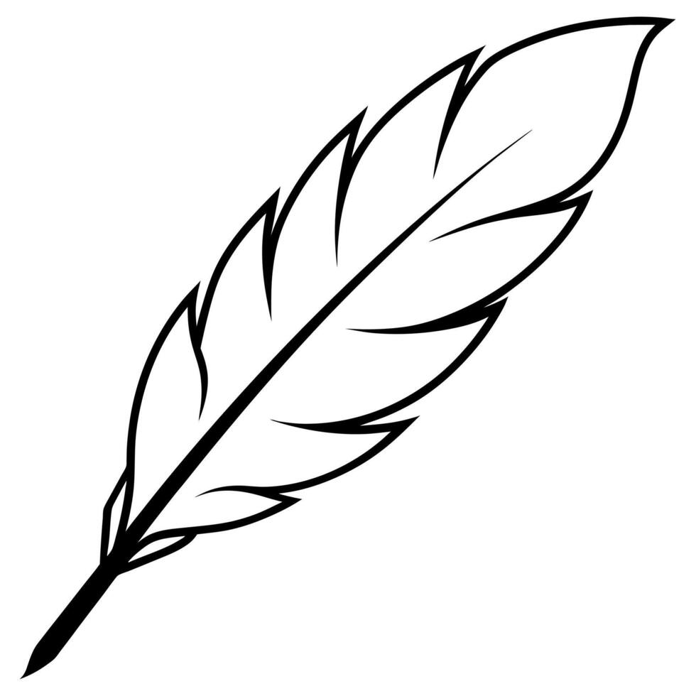 feather outline coloring book page line art illustration digital drawing vector