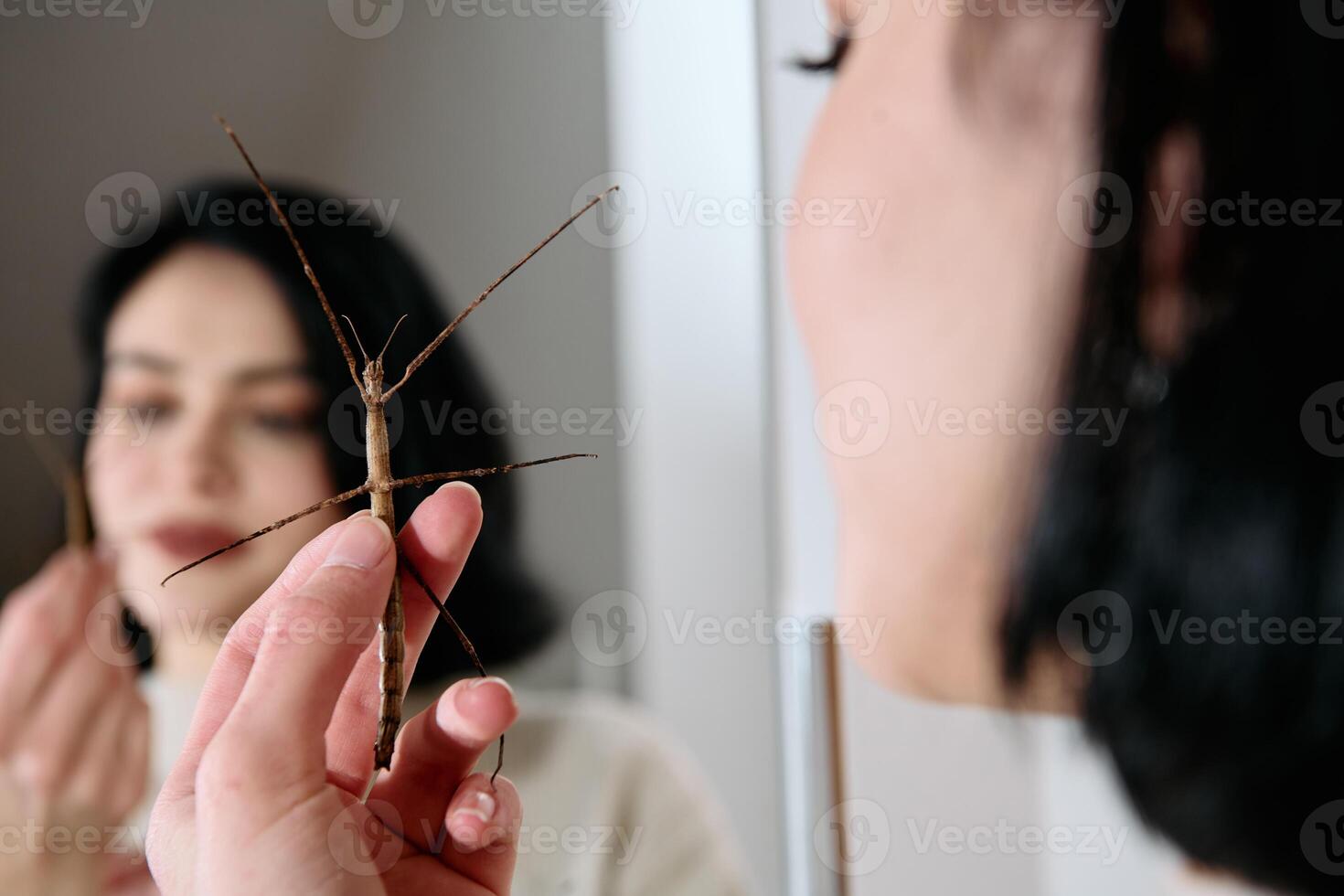 Young Woman Captured in a Beautiful Moment with Her Stick Insect , Medauroidea Extradentata photo