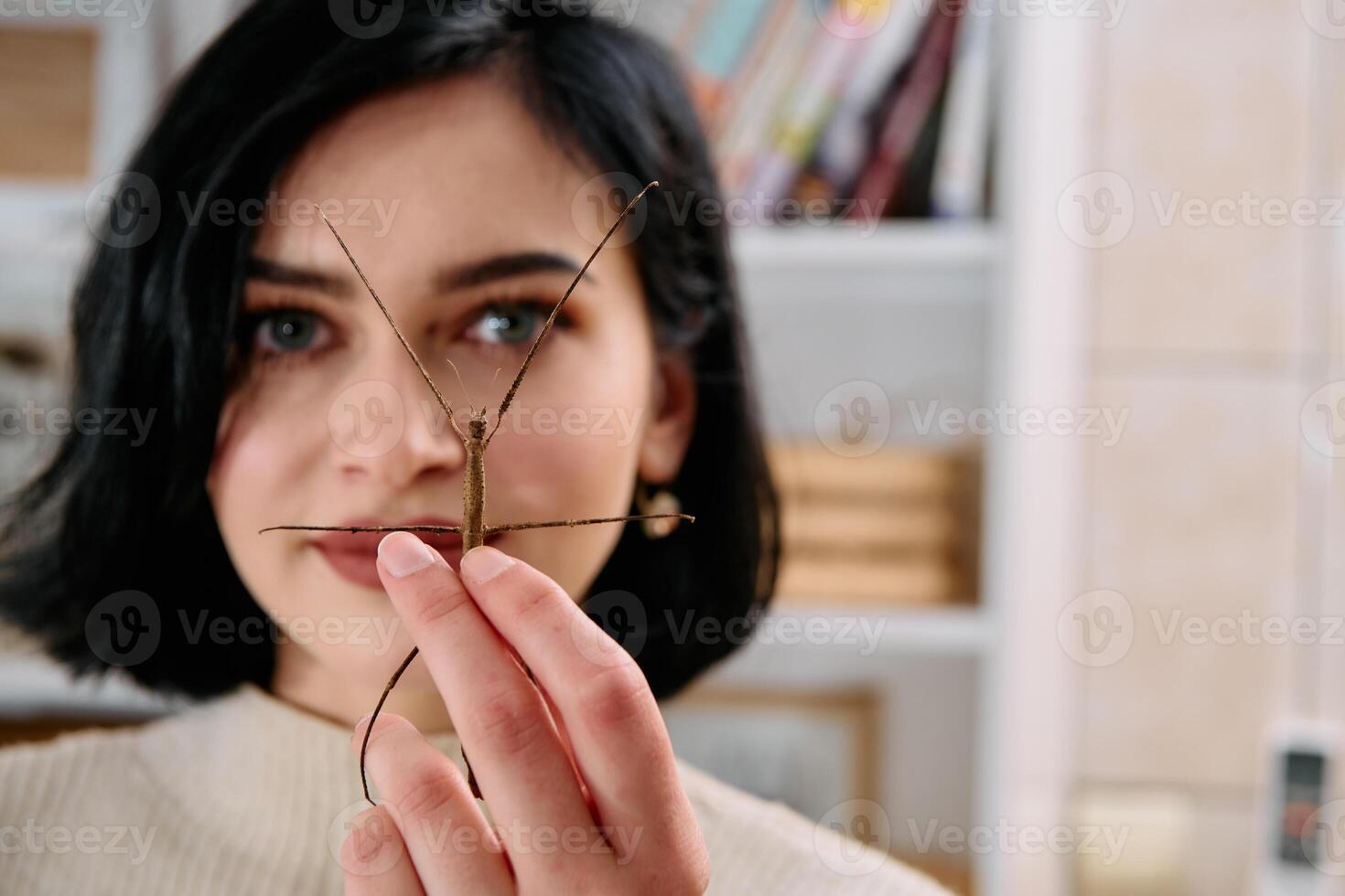 Young Woman Captured in a Beautiful Moment with Her Stick Insect , Medauroidea Extradentata photo