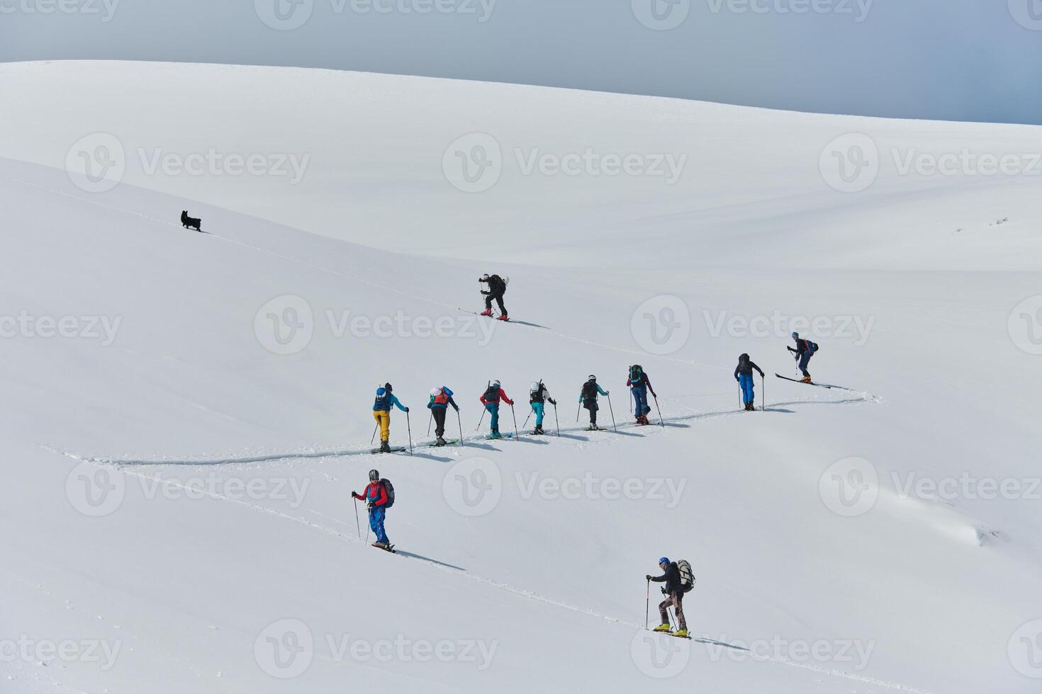 Pushing Limits on High. A Team of Experts Conquers the Backcountry photo