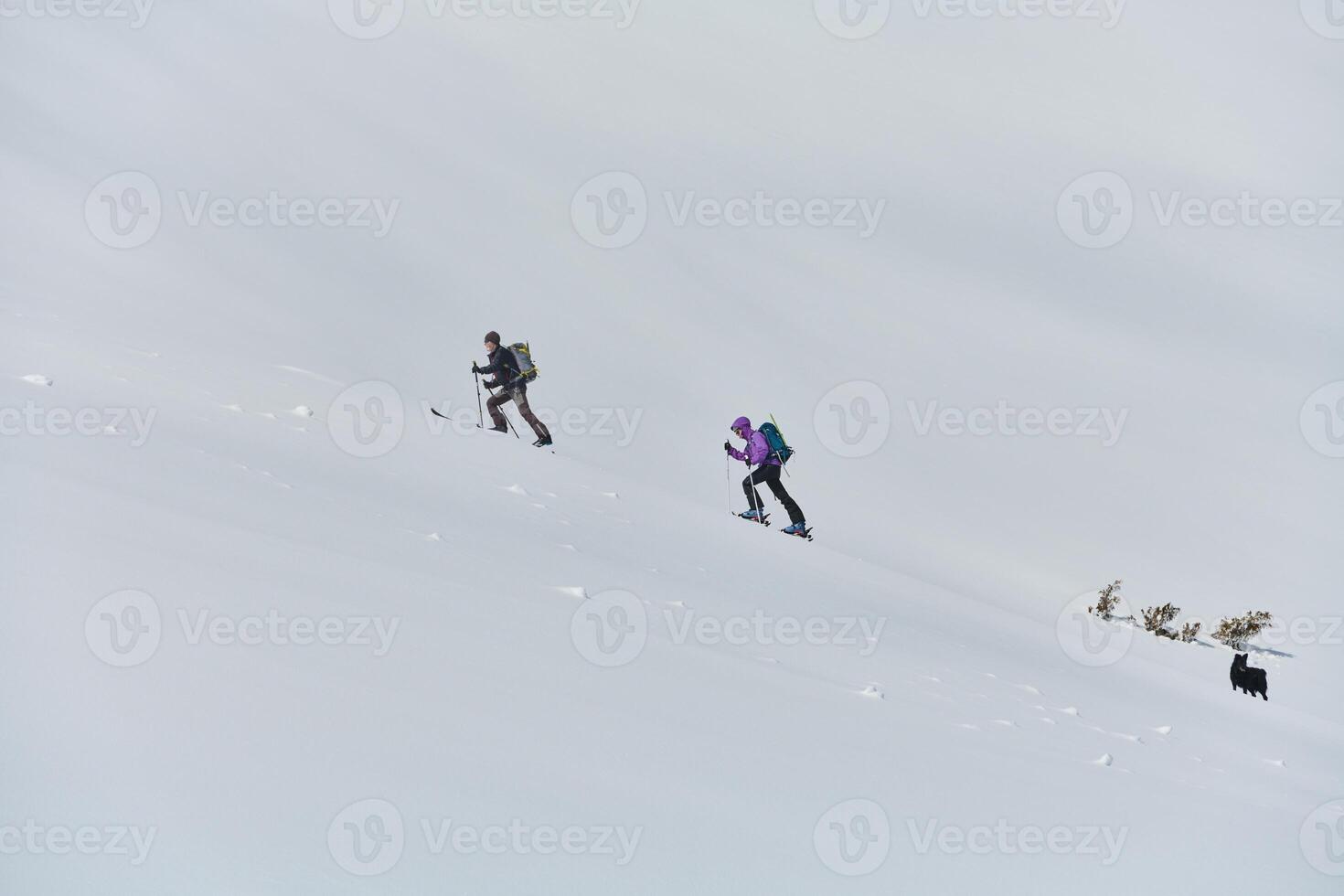 Alpine Ascent. Two Professional Skiers Conquer Snowy Peaks as a Determined Team. photo
