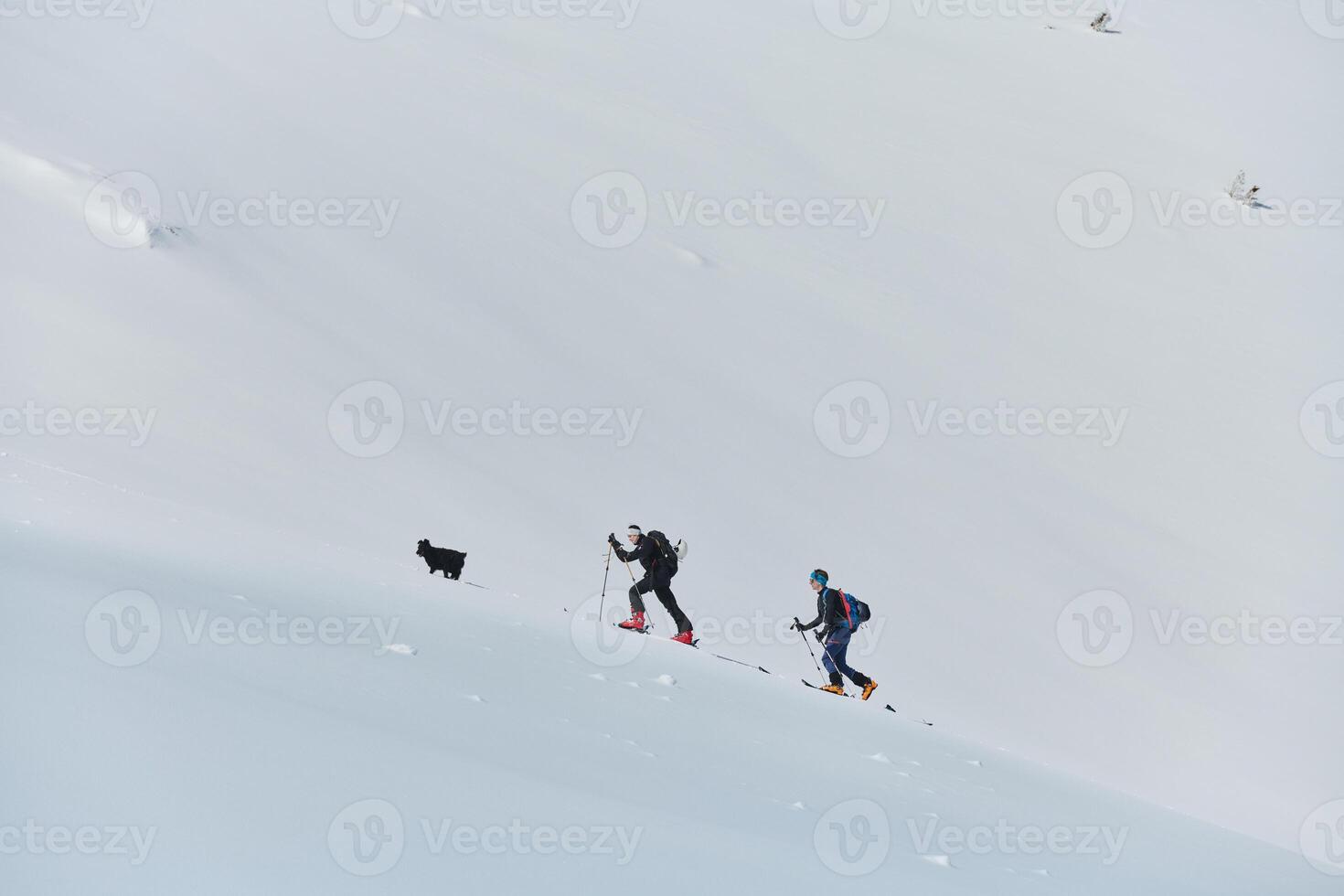 Pushing Limits on High. A Team of Experts Conquers the Backcountry photo