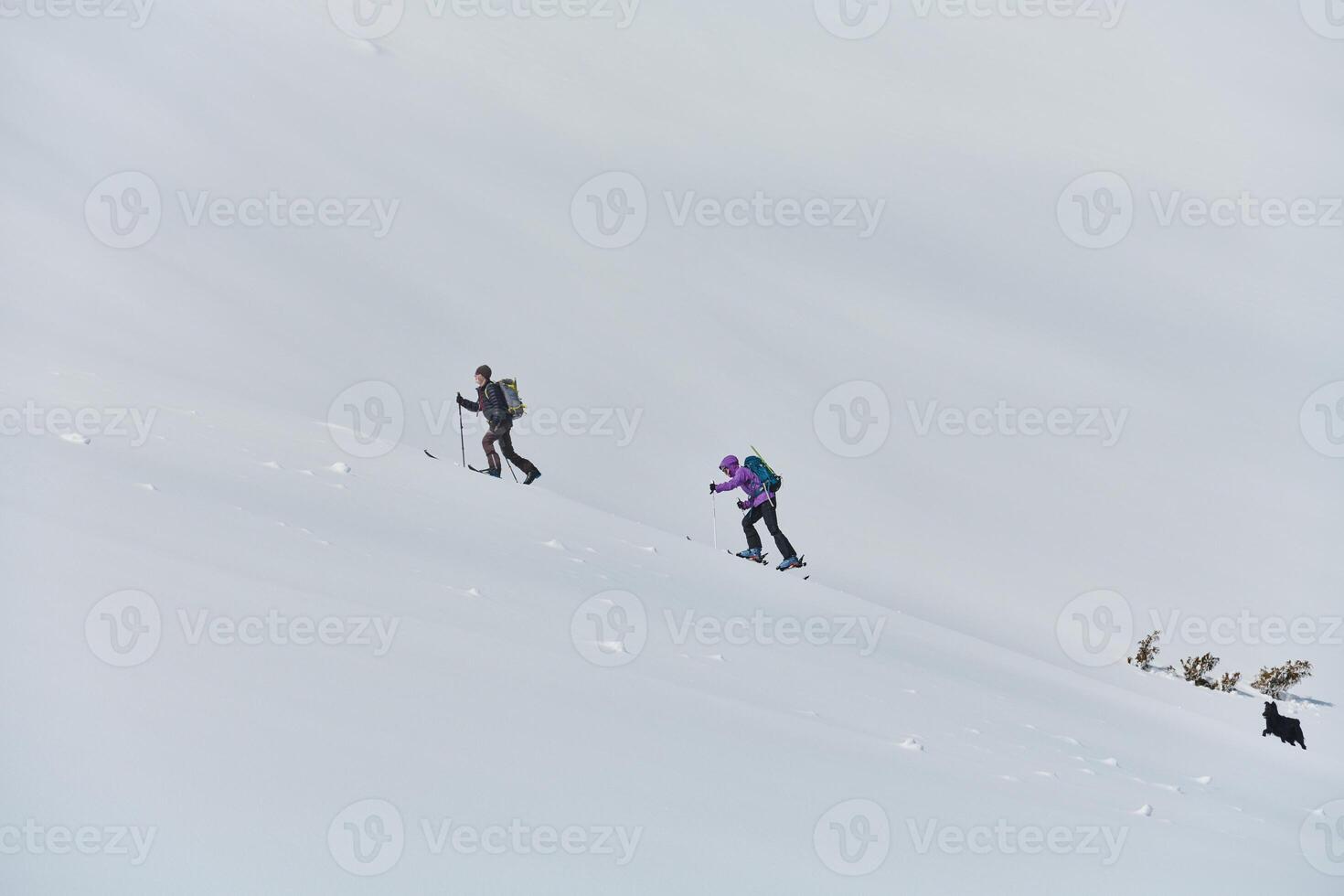 Pushing Limits on High. A Team of Experts Conquers the Backcountry photo