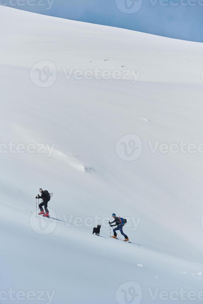 Alpine Ascent. Two Professional Skiers Conquer Snowy Peaks as a Determined Team. photo
