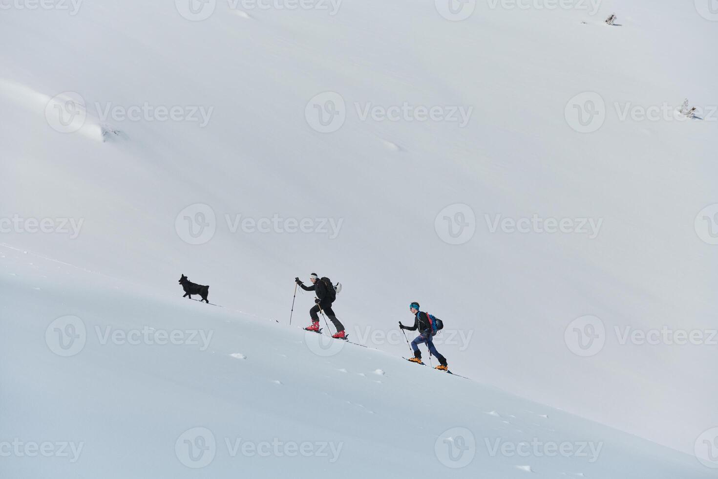 Pushing Limits on High. A Team of Experts Conquers the Backcountry photo
