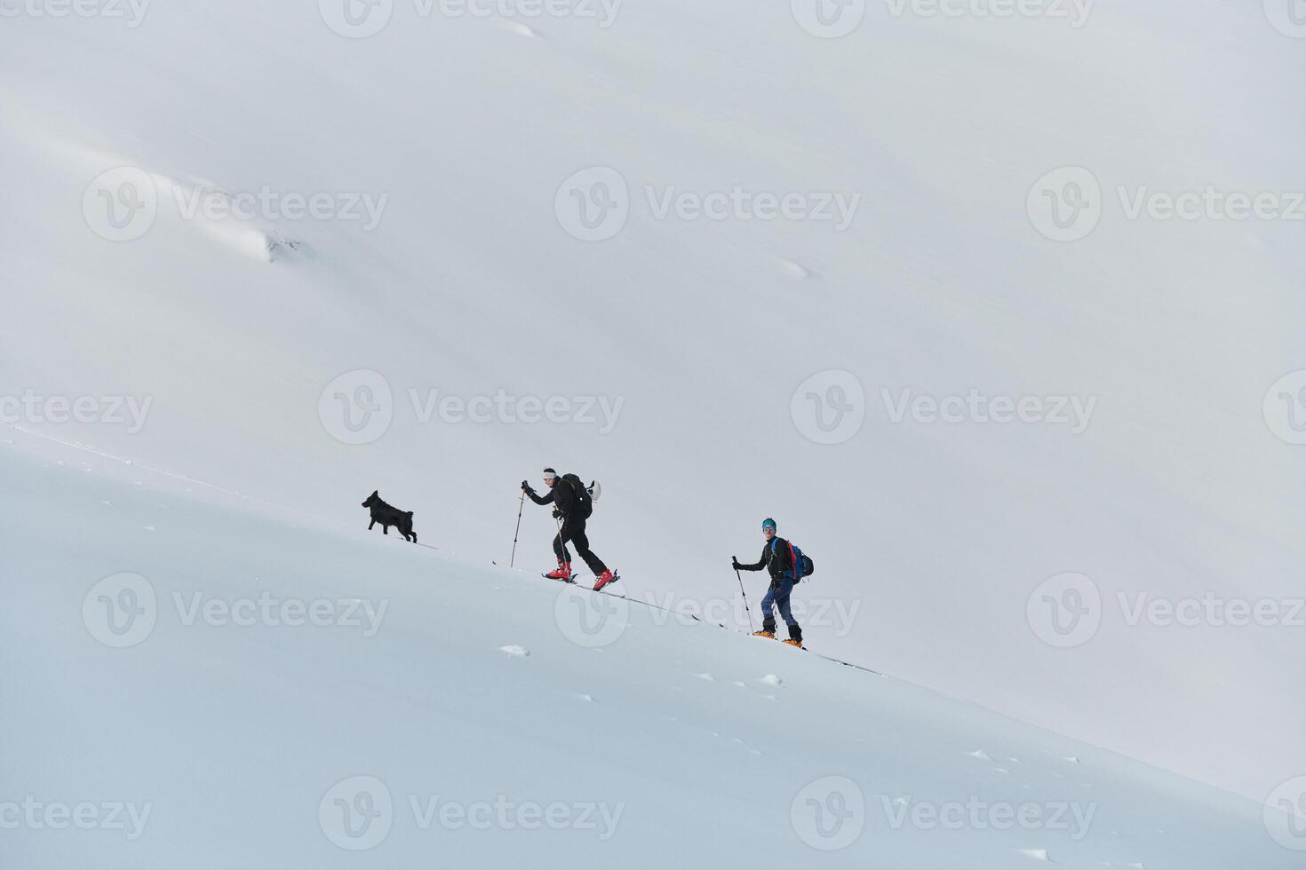 Pushing Limits on High. A Team of Experts Conquers the Backcountry photo