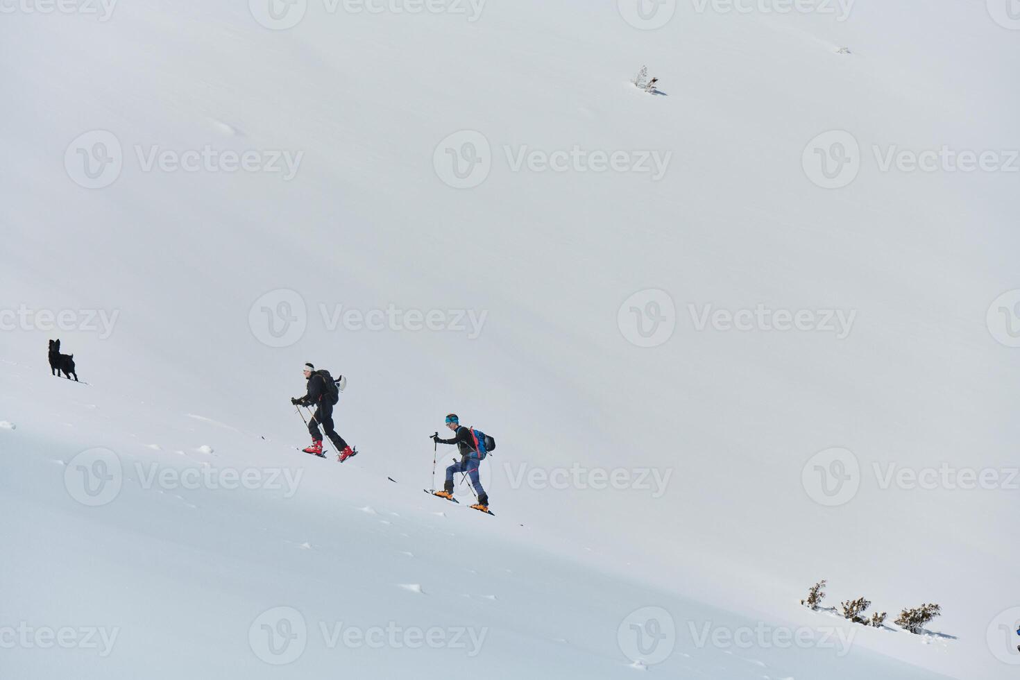Pushing Limits on High. A Team of Experts Conquers the Backcountry photo