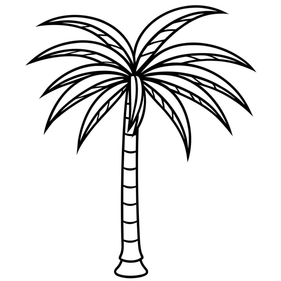 tall palm tree outline coloring book page line art illustration digital drawing vector