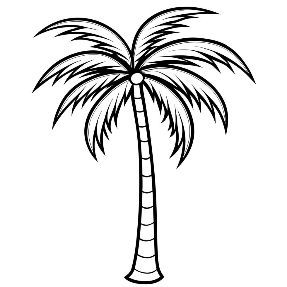 tall palm tree outline coloring book page line art illustration digital drawing vector