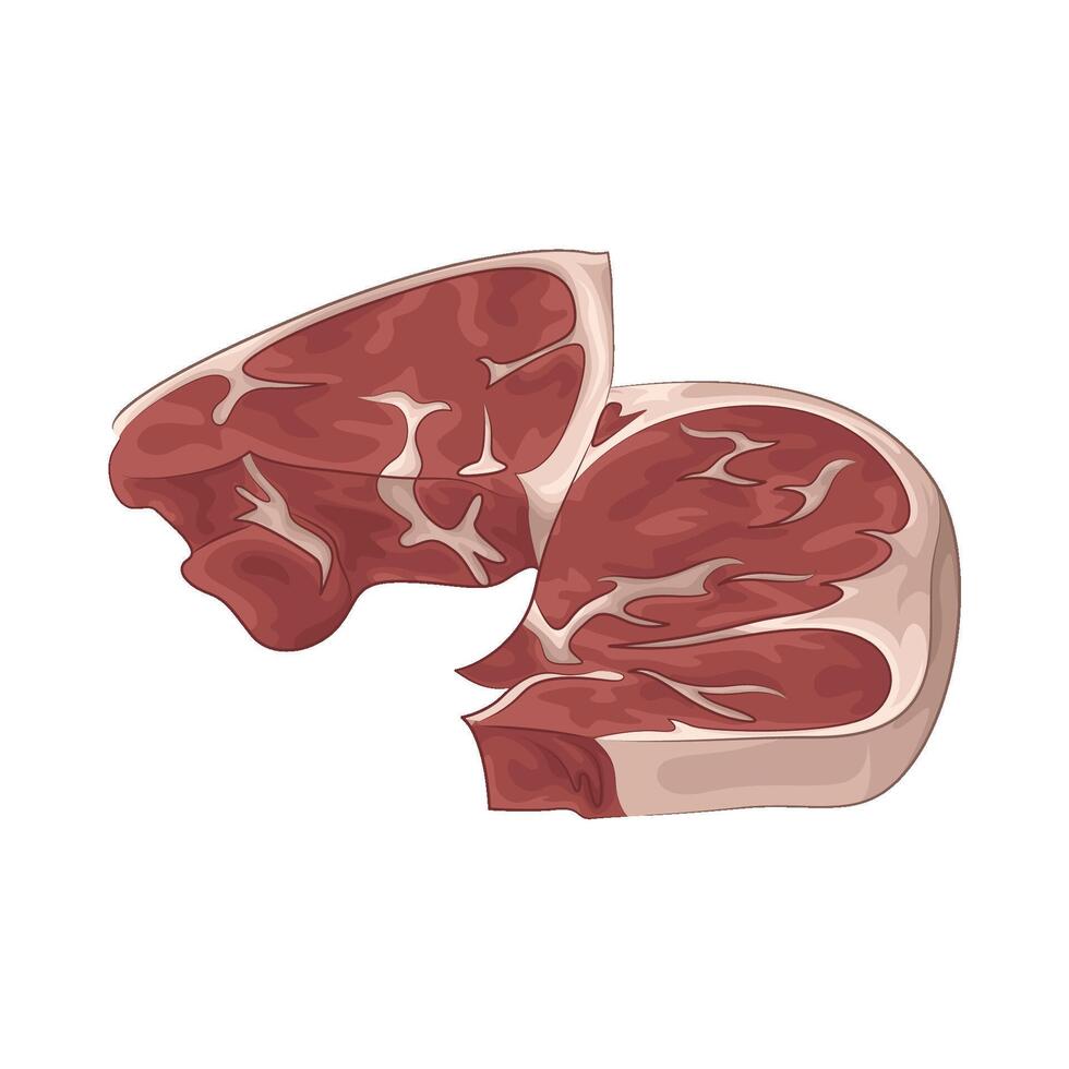 Illustration of meat vector