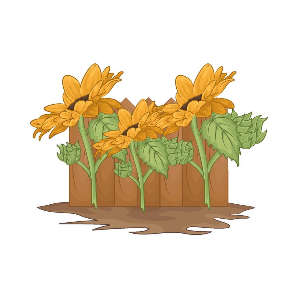 Illustration of sunflower vector