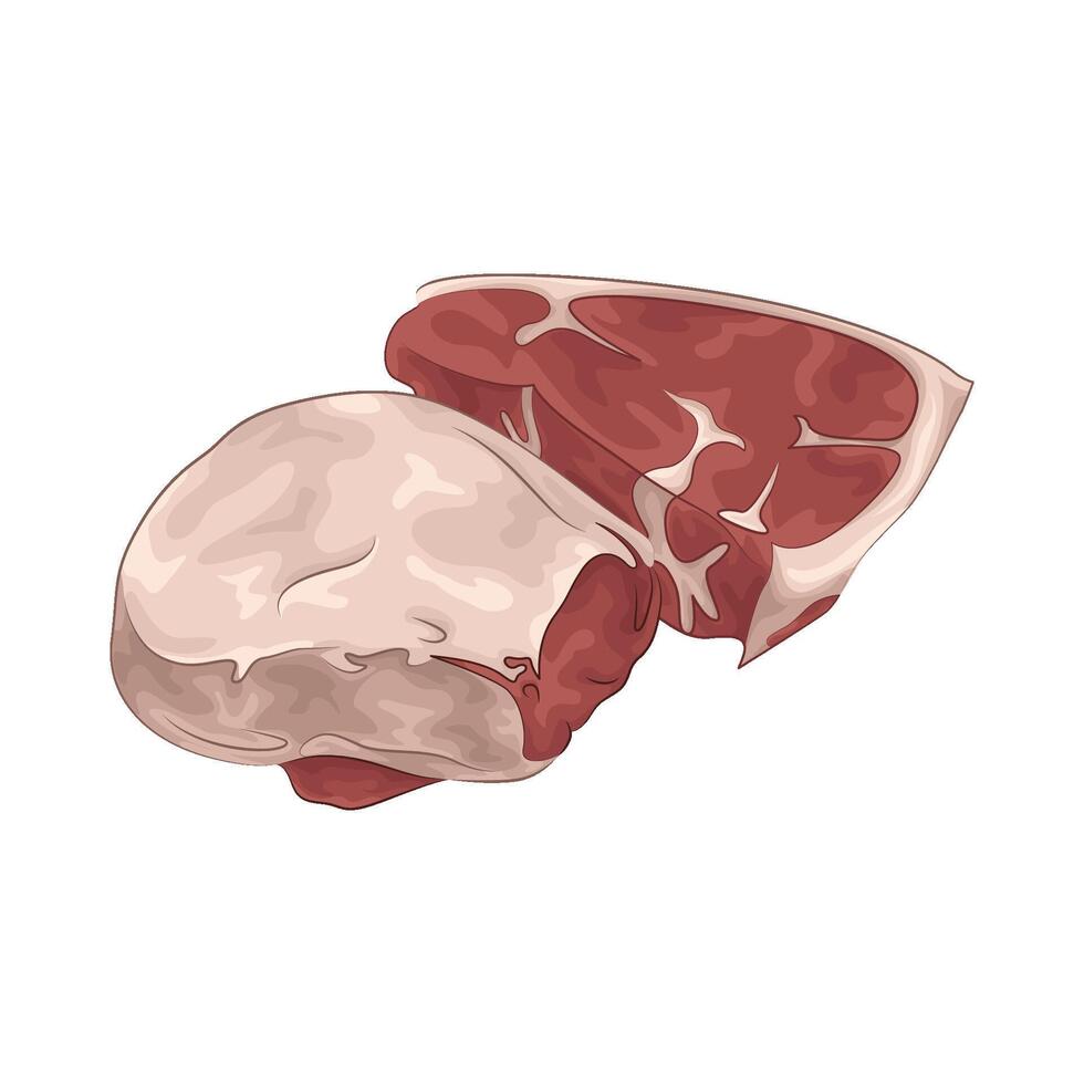 Illustration of meat vector