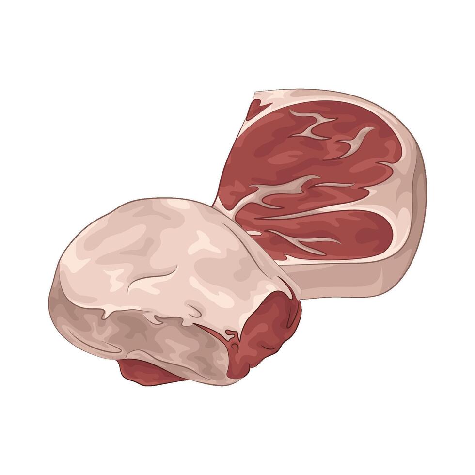 Illustration of meat vector