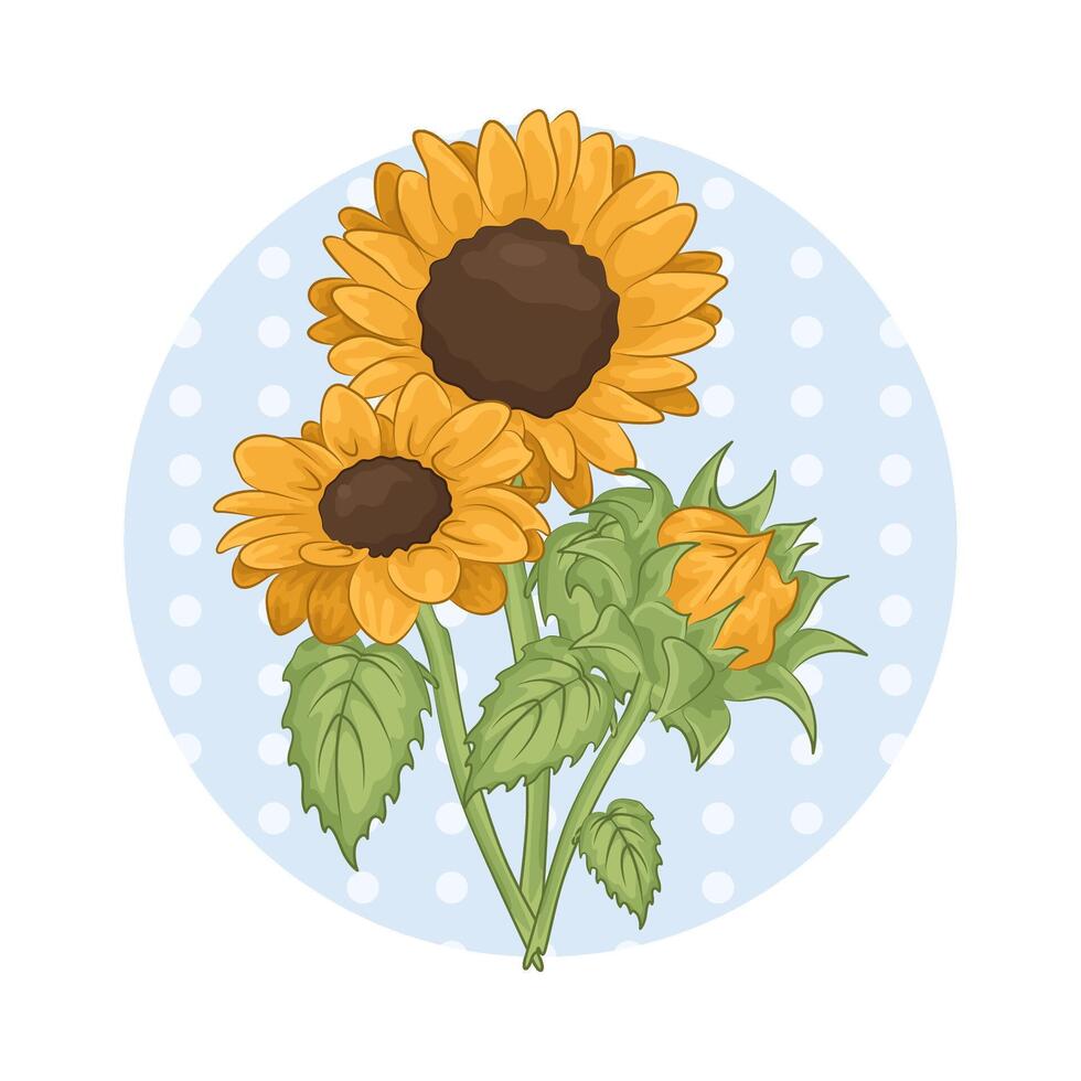 Illustration of sunflower vector