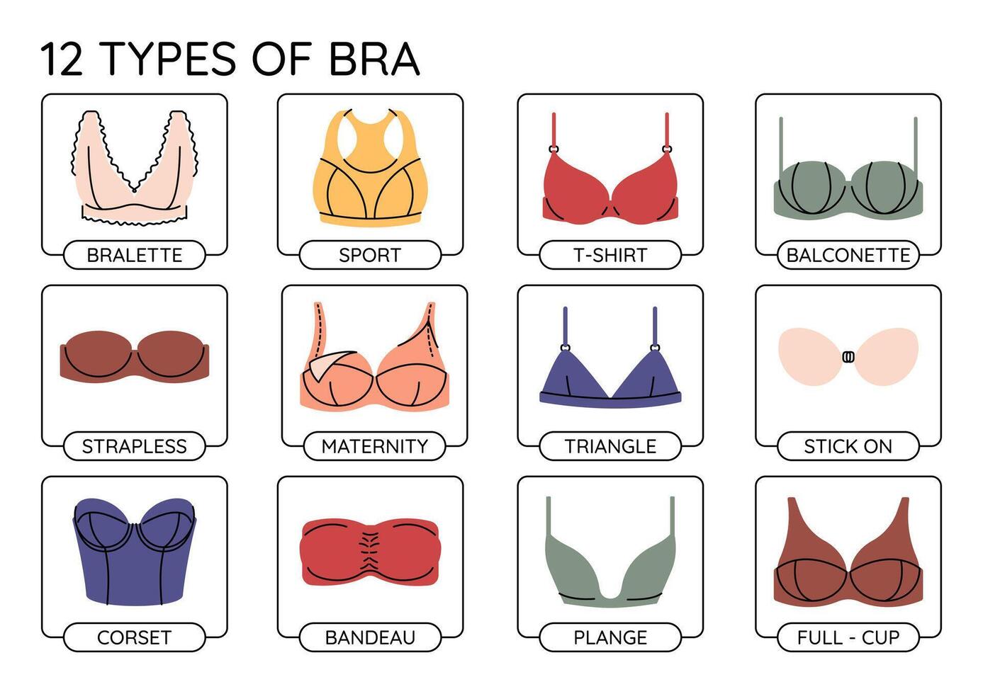 Types of colorful bras infographics. bra collection. vector