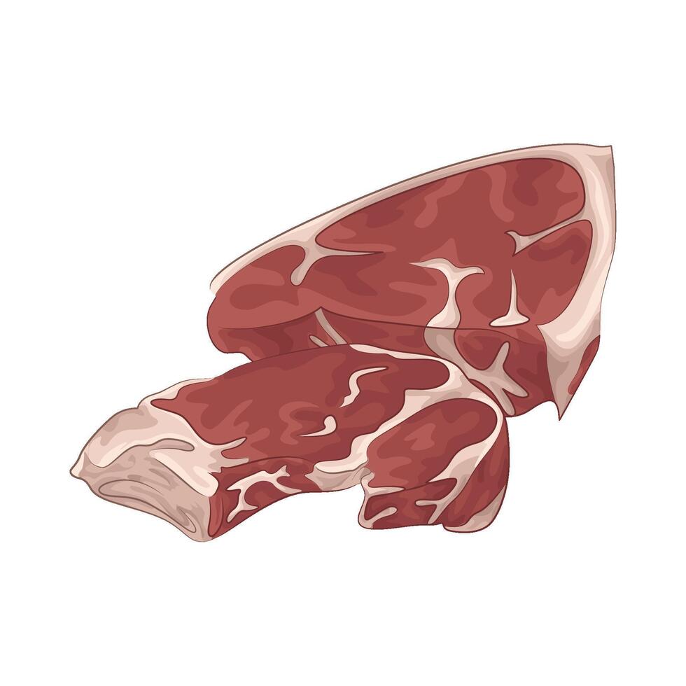 Illustration of meat vector