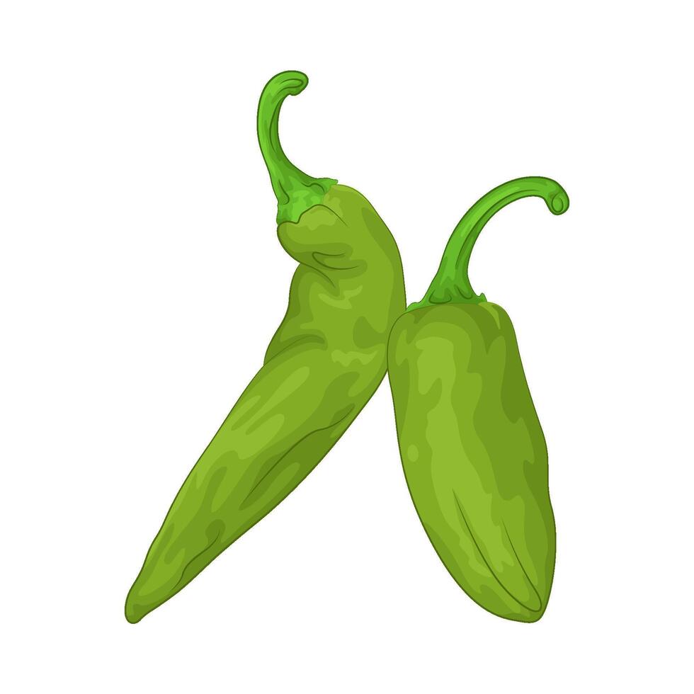 Illustration of green chili pepper vector