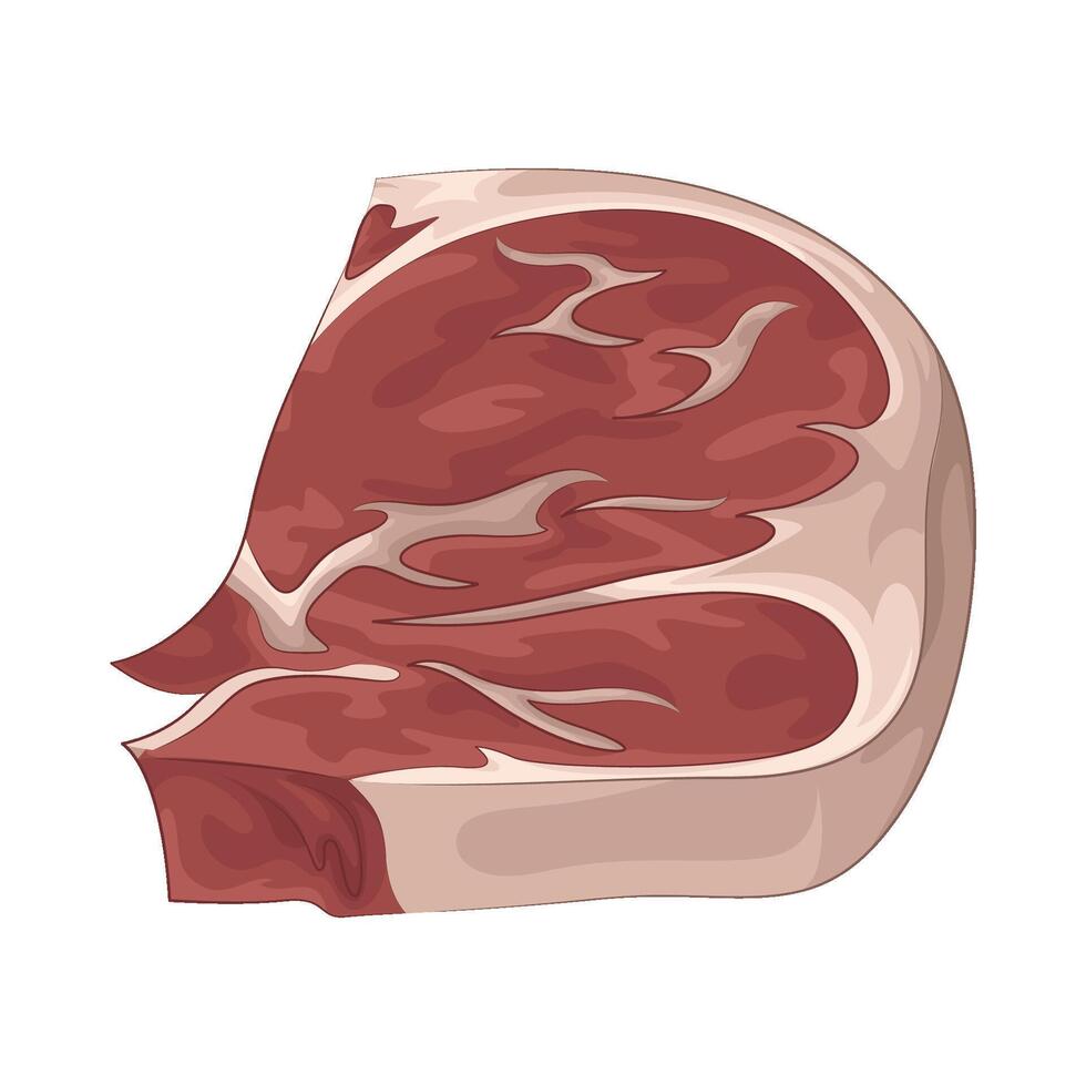 Illustration of meat vector