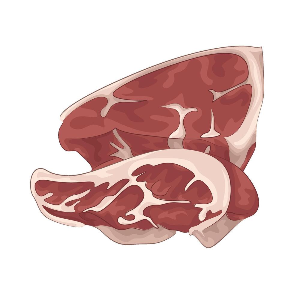 Illustration of meat vector